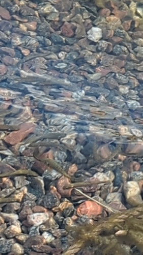 Strandnära Phone number