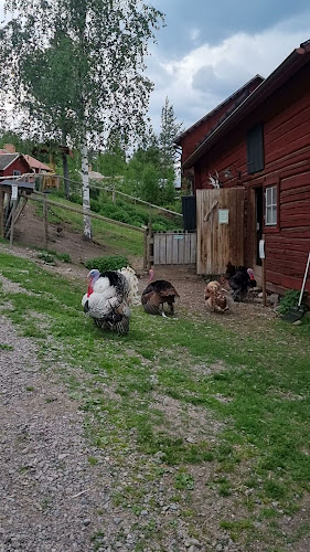 Reviews of Stora Lunån Gårdscafé in Falun - Gastronomi och hotellverksamhet