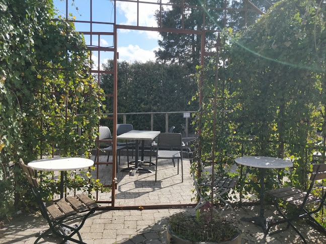 Comments and reviews of Café Smedjan