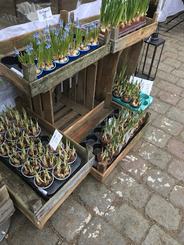 Storgatan, 352 33 Växjö