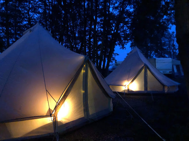 Comentarii opinii despre TREDENBORG & TREDENBORGSUDDEN