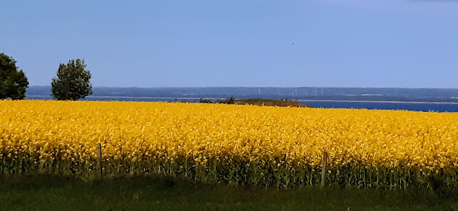Erikstorpsvägen 216, 269 94 Båstad