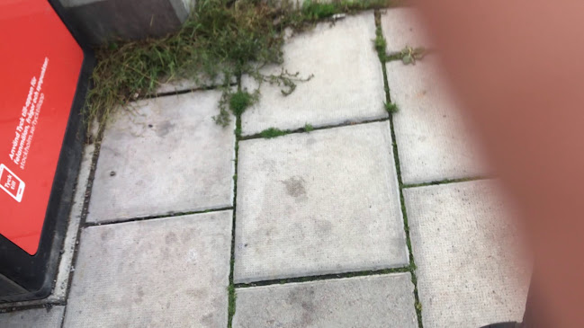 Comentarii opinii despre Beirut Bistro