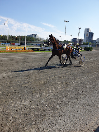 Opinii despre Pershing în Bromma - Gastronomi och hotellverksamhet