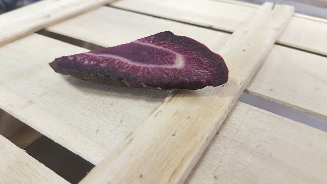 Rosenborgsgatan 4, 169 74 Solna