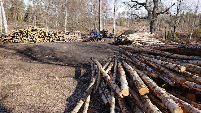 Skottvångs Grufva (restaurant) - Gastronomi och hotellverksamhet