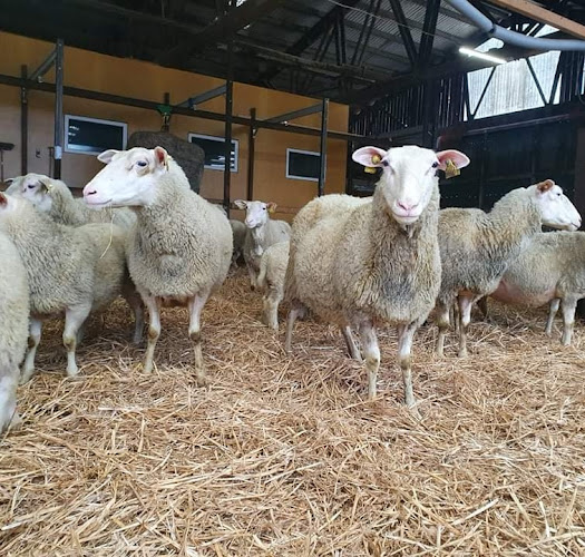 Reviews of Rykets gård in Ödeshög - Gastronomi och hotellverksamhet