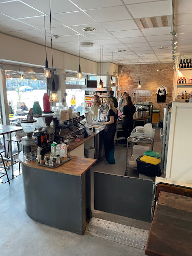 Comments and reviews of Matería