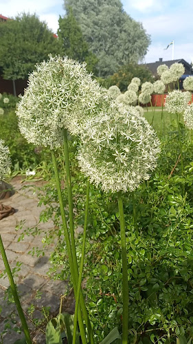 Fiskargatan 12, 619 30 Trosa