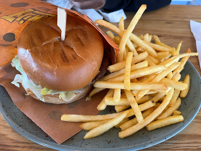 Comments and reviews of Flintston Backaplan