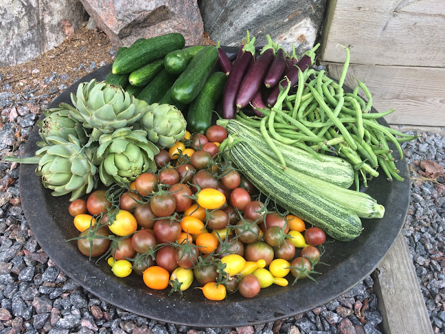 Opinii despre Ekö Gård - Gårdsbutik och Trädgårdscafé în S:t Anna - Gastronomi och hotellverksamhet