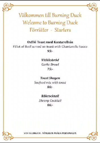 Burning Duck i Avesta AB - Avesta