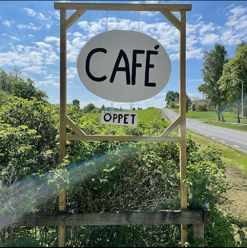 Opinii despre Ostergardtradgardscafe în Vetlanda - Gastronomi och hotellverksamhet