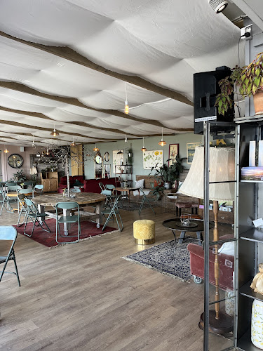 Lillebror - Halmstad