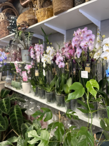 Sveavägen 138, 113 50 Stockholm