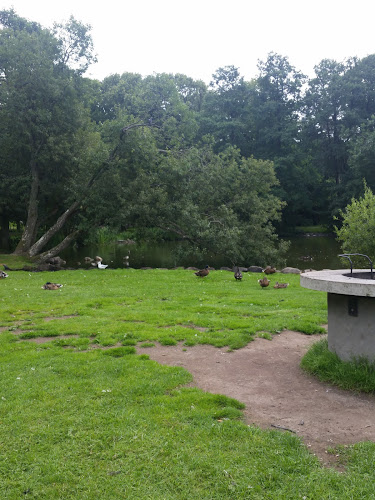 Café Våfflan - Gastronomi och hotellverksamhet