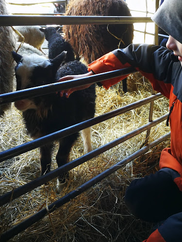 Mariebergs Gårdsbutik