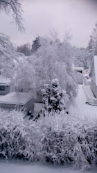 Bernt Ove Broling i Gnosjö AB