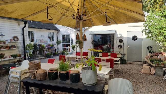 Märtas Kafé & Butik - Gastronomi och hotellverksamhet