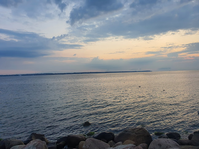 Vass Restaurang & Bar - Gastronomi och hotellverksamhet