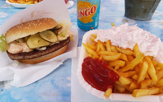 Comments and reviews of Särlakoket