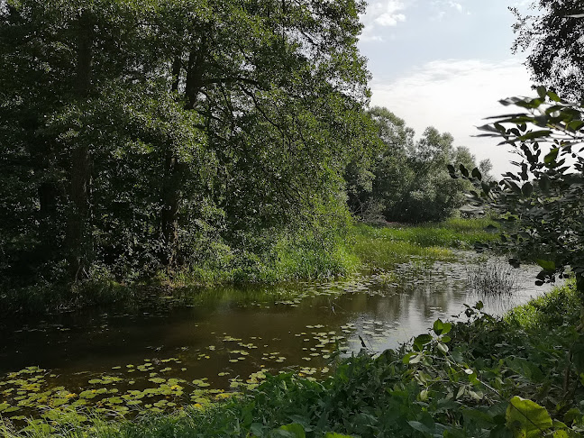 Café Ulva Kvarn AB Open Times