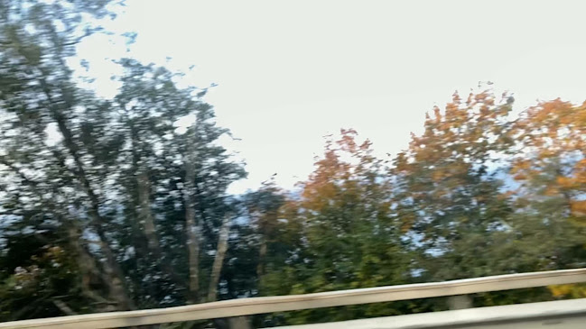 Restaurang H5 - Gastronomi och hotellverksamhet