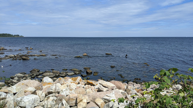 Branterögen - Gastronomi och hotellverksamhet