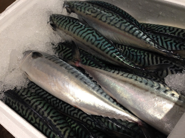 Comentarii opinii despre Korshags Food AB