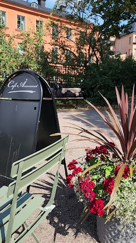 Café Årummet Phone number