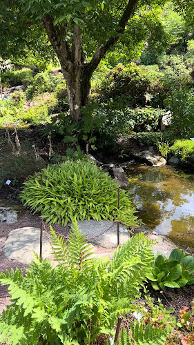 Opinii despre Haket în Göteborg - Gastronomi och hotellverksamhet