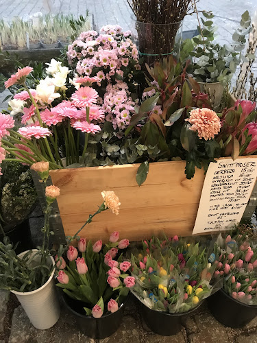 Storgatan, 352 33 Växjö