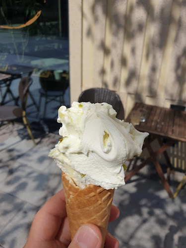 Gelatonova Norra Stationsgatan - Gastronomi och hotellverksamhet