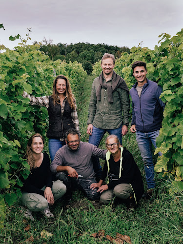 Thora Vingård - Gastronomi och hotellverksamhet