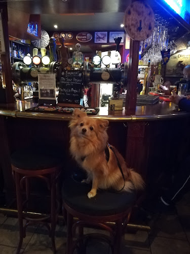 Selmas Krog - Sundbyberg