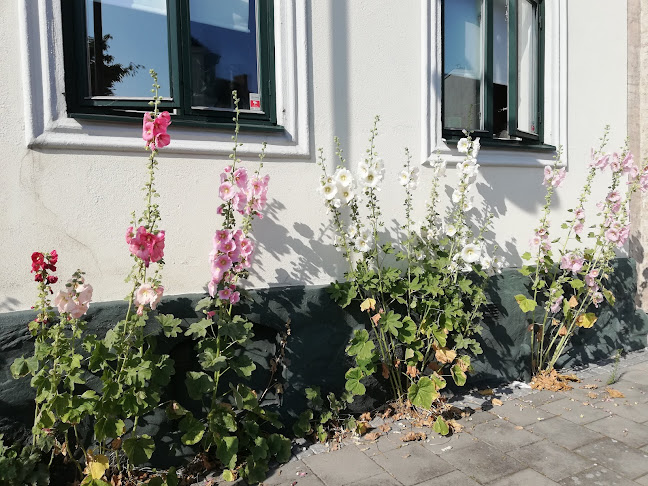 Stadskajen 2, 261 29 Landskrona