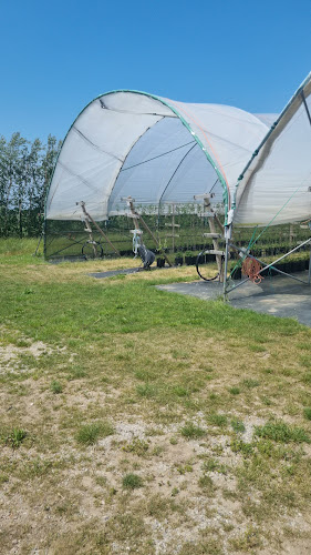 Opinii despre Hallongården în Trelleborg - Gastronomi och hotellverksamhet