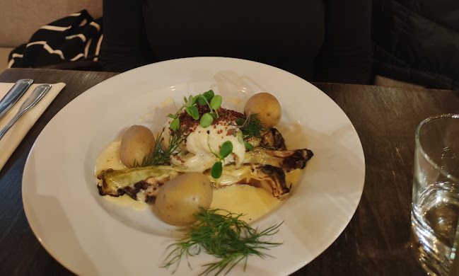 Roy's Mat o Bar Open Times