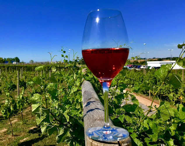 Comentarii opinii despre Nordic Sea Winery | Showroom | Restaurant | Winebar