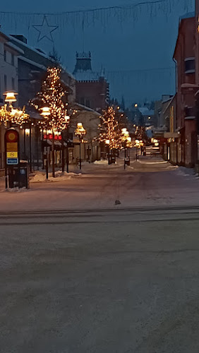 Comentarii opinii despre Sushi och Vietmat