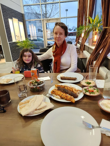 Comentarii opinii despre Restaurang Beirut