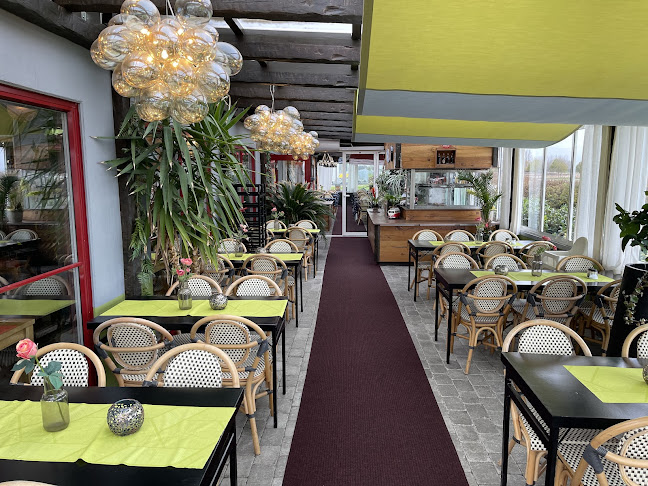 Comentarii opinii despre Grillkungen Catering