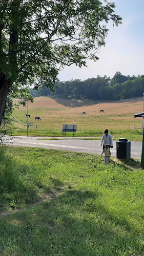Elfviks Gårdsbistro - Gastronomi och hotellverksamhet