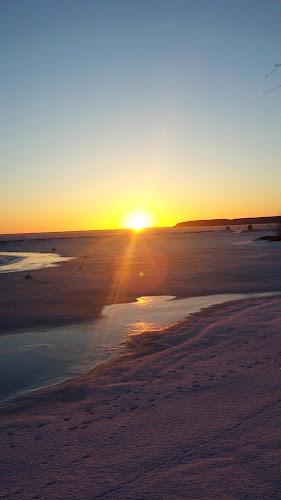 Comentarii opinii despre Ursands Campings Restaurang