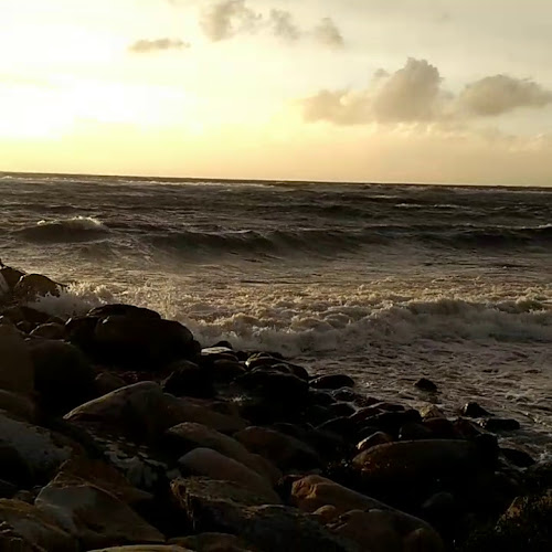 Opinii despre Krapperups Kaffestuga AB în Nyhamnsläge - Gastronomi och hotellverksamhet