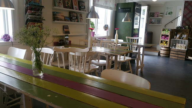 Comentarii opinii despre Grenna Glass