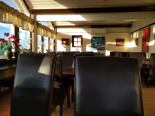 Comentarii opinii despre Mr Wook