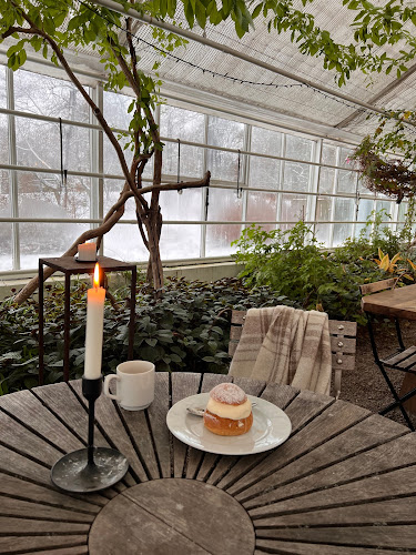 Comentarii opinii despre Rosendals Trädgårdskafé