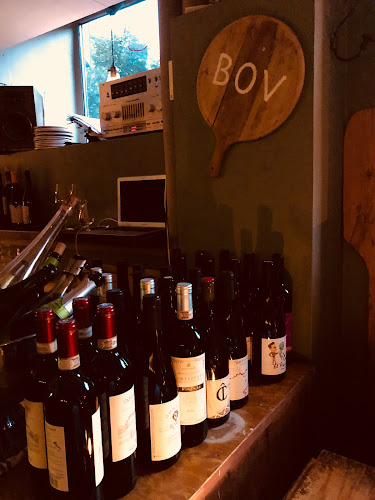 Comentarii opinii despre BOV