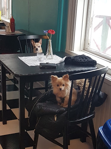 Opinii despre Strandparkens Kiosk, Café & Diner în Askersund - Gastronomi och hotellverksamhet